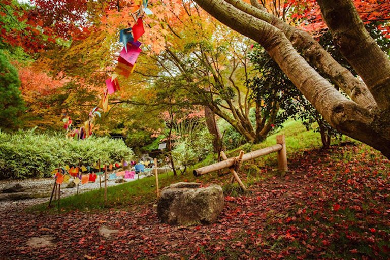 Scatti d’autunno nei parchi italiani